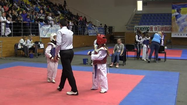 Чемпионат Украины по Тхэквондо ВТФ, г.Харьков, 11-12.10.2015 смотреть онлайн