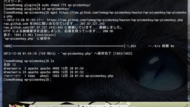 PicMonkey ＞ WordPress смотреть онлайн