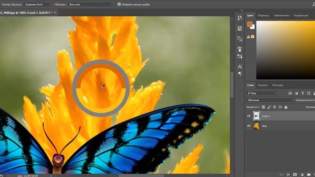 Инструмент "Пипетка" в графическом редакторе Adobe Photoshop смотреть онлайн