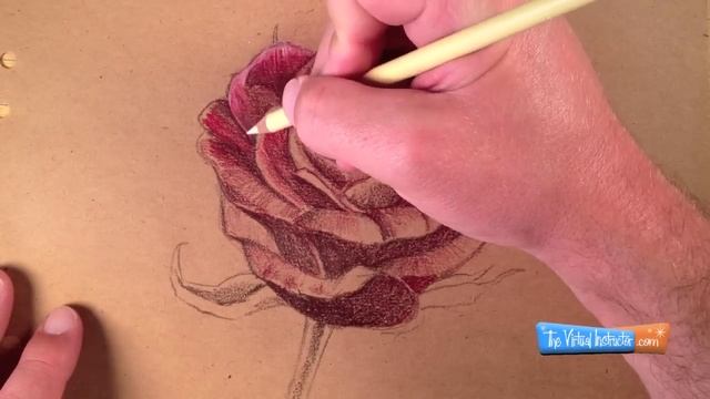 How to Draw a Rose with Colored Pencils смотреть онлайн