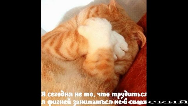 БоеваяЕденицаАлиса#4 смотреть онлайн