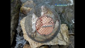 Белоярское Водохранилище Рыбалка на подлещика  .