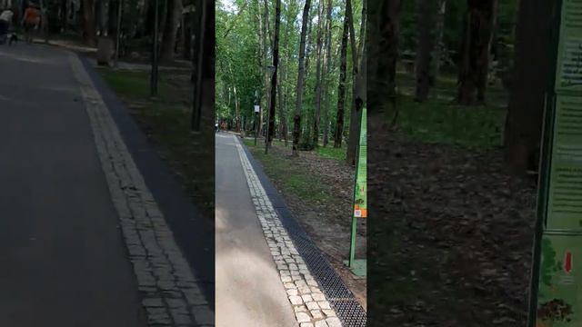 23 мая 2023 г. смотреть онлайн