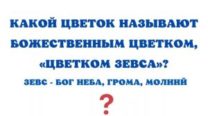 ?8 марта. Викторина для девочек