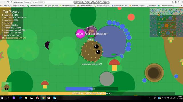 MOPE.IO ПЫТАЮСЬ НАЙТИ ПЕТЮ.БОЛЬШИЕ ПРОБЛЕМЫ С ЛАГАМИ. МАСТЕР КАЧА.И ВСТРЕЧА С МАЛЫШОМ КОРОЛЯ КРАБОВ смотреть онлайн