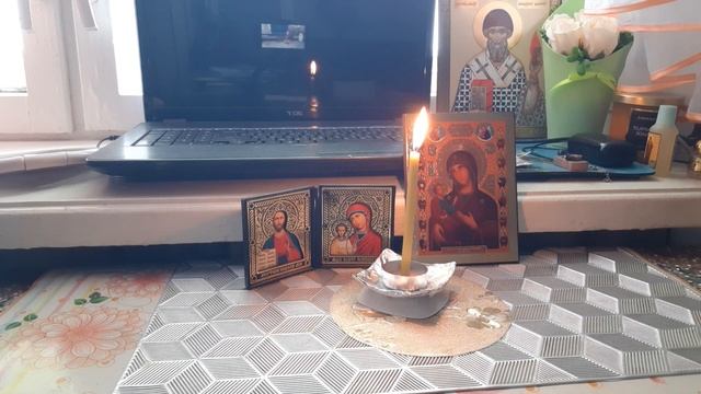 Чтоб никакая собака никогда не укусила?‼️? смотреть онлайн