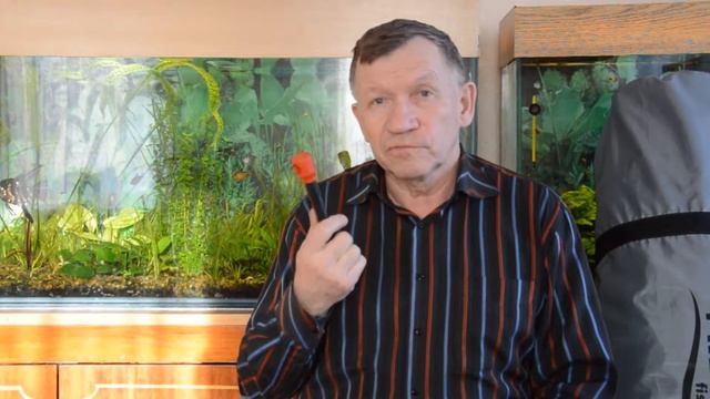 О ввертышах для крепления зимней рыболовной палатки 1 смотреть онлайн