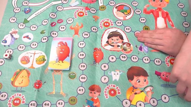 Все настолки из магазина Чижик / Динозавры / Космос / Тело человека