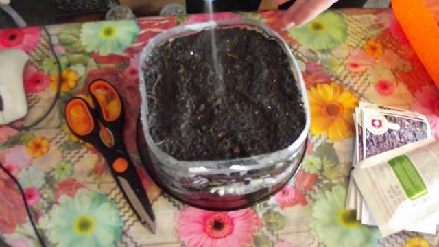 Музыкальная Импровизация