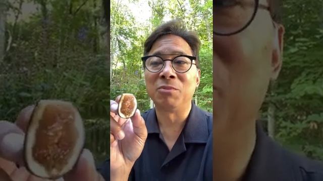 3 Disease Fighting Foods for Breakfast | Dr William Li смотреть онлайн