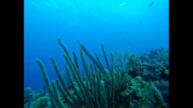 Honduras HIstory смотреть онлайн