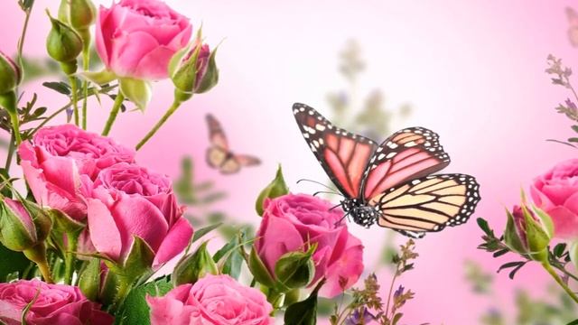 Мы с ним расстались из за его предательства ко мне. Елена Ушанкова Коуч Астролог Нумеролог смотреть онлайн