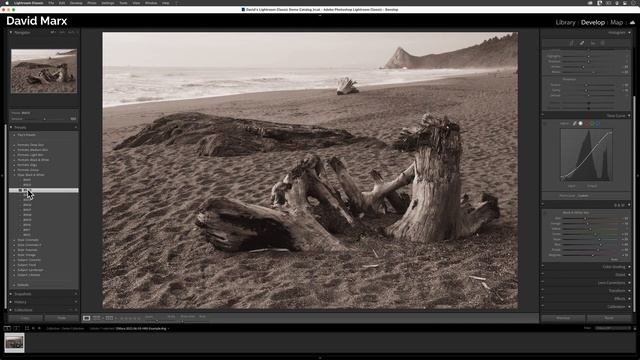 Develop Preset Basics In Adobe Photoshop Lightroom Classic смотреть онлайн
