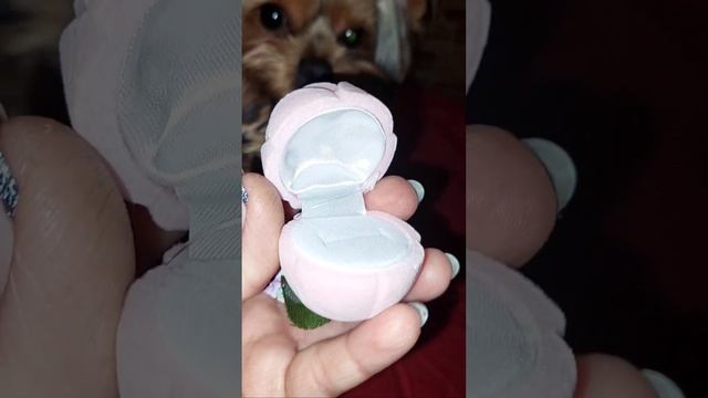 Покупочки из фикспрайса и необычная ваза для цветов!!! смотреть онлайн