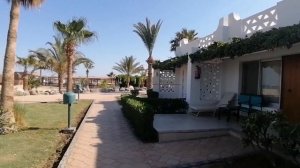 ❤️Небольшой обзор территории отеля SHAMS SAFAGA RESORT, бассейн, аквапарк, пальмы...
