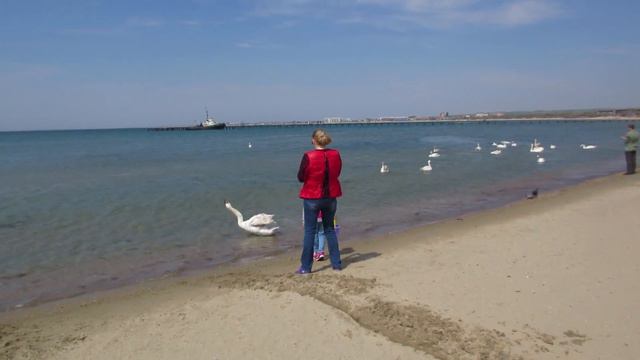 Прогулки по Анапе #3 смотреть онлайн