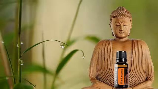 Король эфирных масел – ЛАДАН (doTERRA) смотреть онлайн