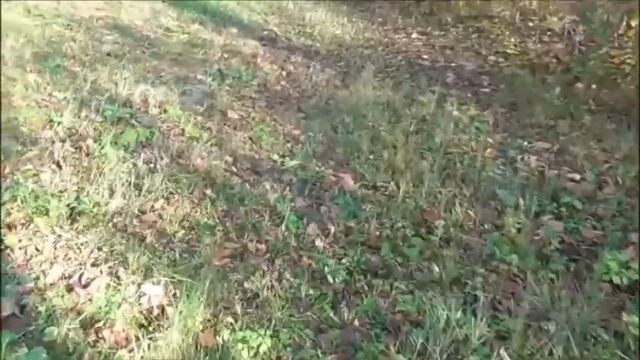 Всё было взорвано на...День36ЗПШЕМЫСЛЬ EverythingWasBlown up Wszystko zostało wysadzone w powietrz смотреть онлайн