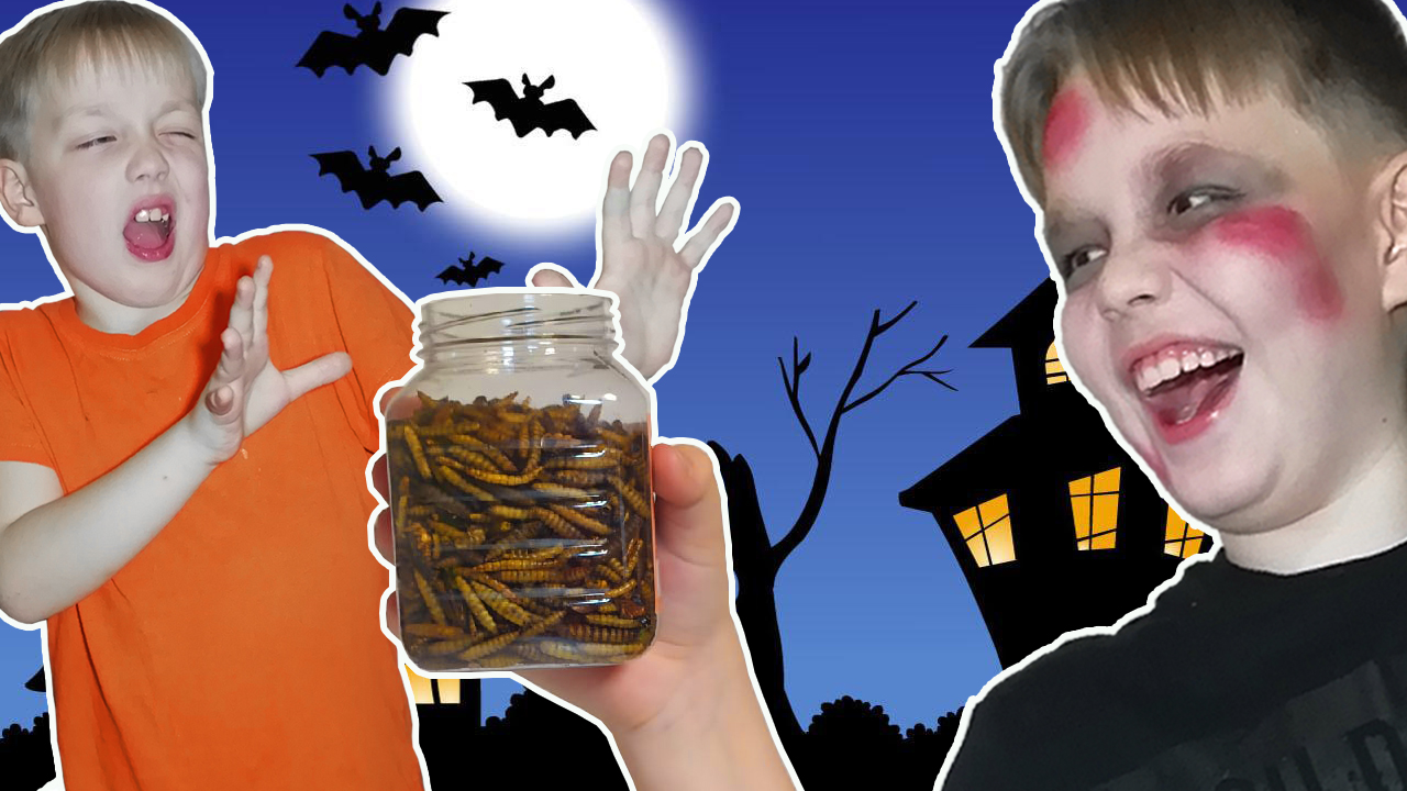 Вкусняшки на Хэллоуин против обычной еды! Хэллоуин смотреть онлайн