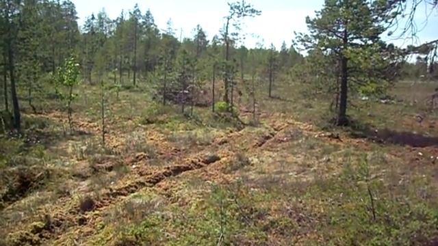 Проходимость Квадроцикла по Болоту смотреть онлайн