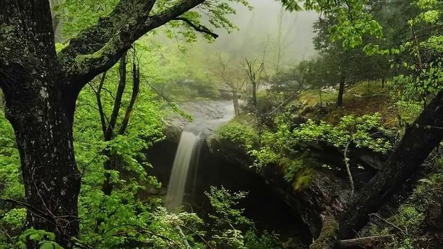 Reel - Irish dance music смотреть онлайн