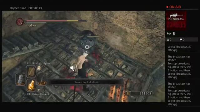 Dark Souls 2 pve смотреть онлайн