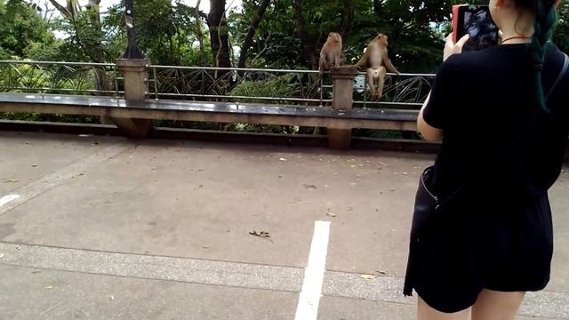 Phuket. Обзорная экскурсия.