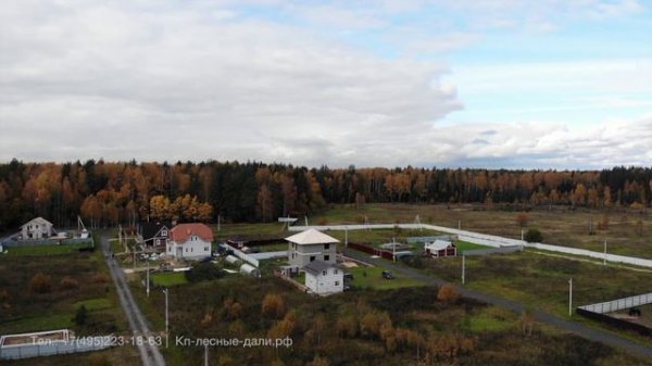 Кп Лесные дали 3