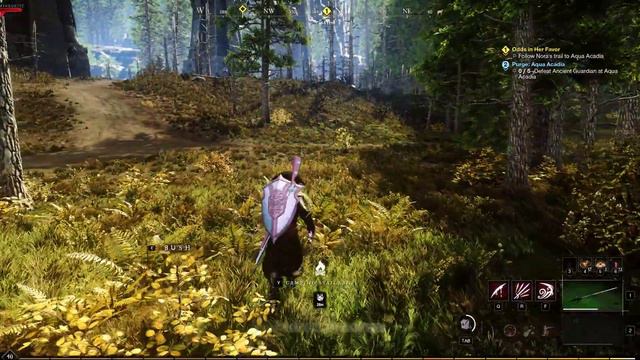 New World Side Quest: Odds in Her Favor смотреть онлайн