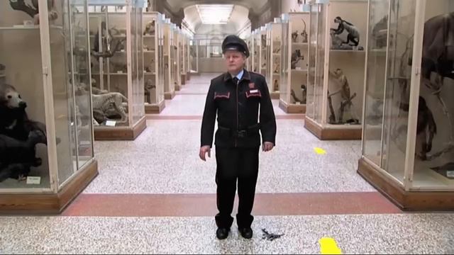 tom gerber's showreel смотреть онлайн