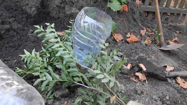 Строительные Танцы