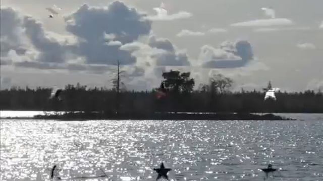 Рыбалка и охота в Северной Карелии.Осень 2009. смотреть онлайн