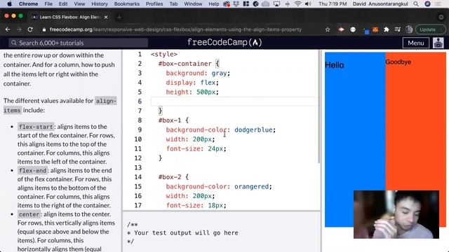 Align Elements Using the align items Property (CSS Flexbox) freeCodeCamp tutorial смотреть онлайн