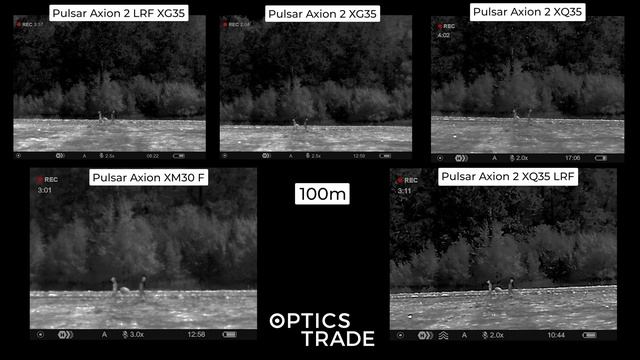 Comparison of Pulsar Axion Thermal Devices (XM30F, XG35 (LRF), XQ35 (LRF)| Optics Trade In The Fiel смотреть онлайн