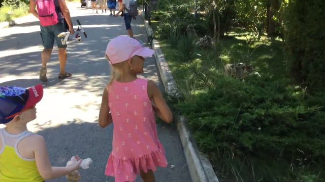 Тайган парк львов в Крыму смотреть онлайн