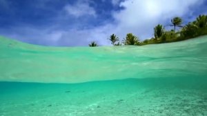 Матрица Гаряева для Очищения Почек ☀️ Квантовое исцеление звуком / Здравушка#саморазвитие #гаряев