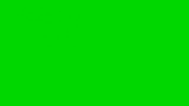 TACO! Taco animations on green screen - VFX for video Editing #meme #VFX смотреть онлайн