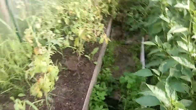 А у нас идёт уборка дров полным ходом. смотреть онлайн