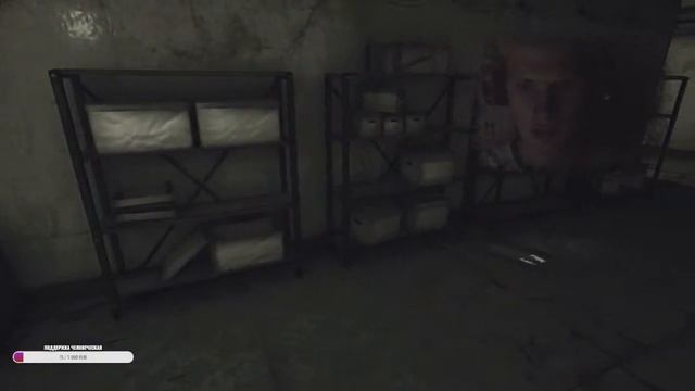 НАКОНЕЦ-ТО НОРМАЛЬНЫЙ ХОРРОР ► Rise of Insanity #1 смотреть онлайн
