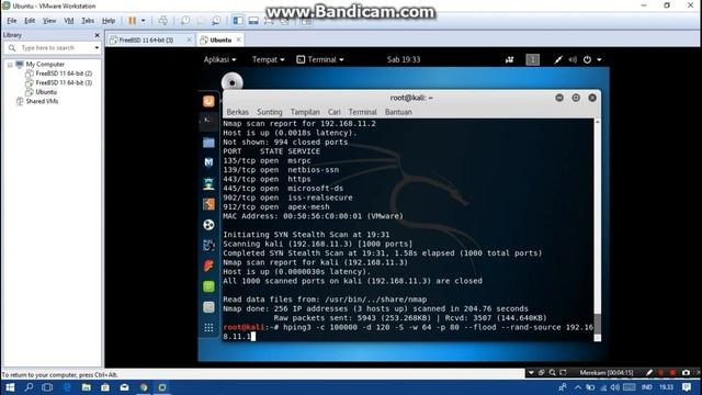 attack & defend webserver with kali linux (freeBSD) смотреть онлайн