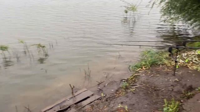 КАРПФИШИНГ НЕ ДЛЯ СЛАБАКОВ | Ловля Карпа на Фидер | Рыбалка на водоеме Оренбурга. смотреть онлайн