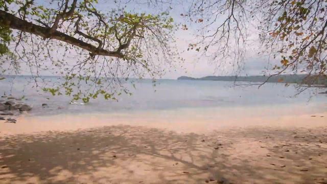 São Tomé and Príncipe, the least visited country in Africa - Highlights of Príncipe island смотреть онлайн