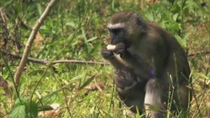 Занзибар. Неизведанные острова