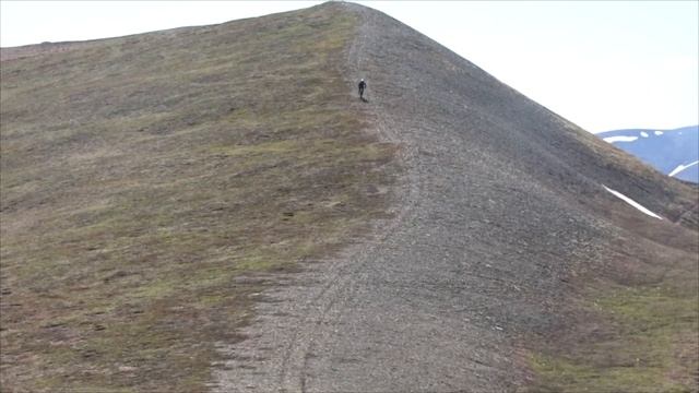 Mongoose Salvo Comp 2019