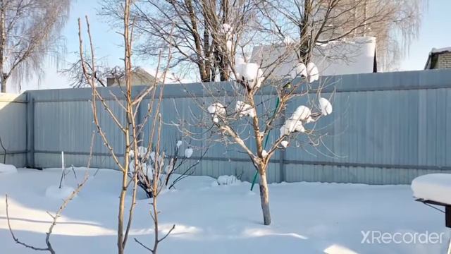 жизнь в деревне бьёт ключом// смотреть онлайн