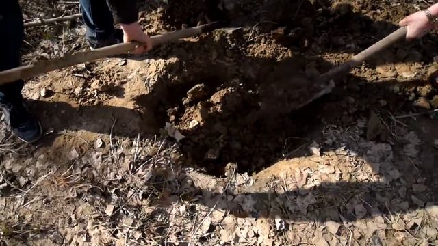 MAMIX - ПОЛУЖИВОЙ ГОМУНКУЛ.. ВЫРАЩИВАЛ 125 ДНЕЙ! смотреть онлайн