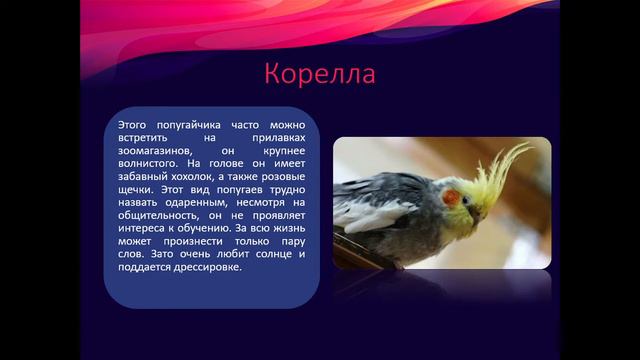 Объединение 