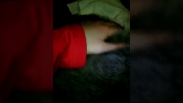 Мурчик подавился косточкой смотреть онлайн