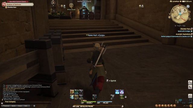 FFXIV: ARR - #34 - Mining & Botanist Level 30 Quests Catch Up смотреть онлайн