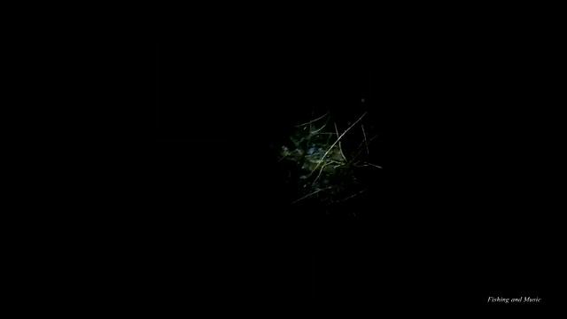 Проверка донок/поставух. Куриная печень на наживку на налима. 21-23 ноября. Бузулучка. смотреть онлайн